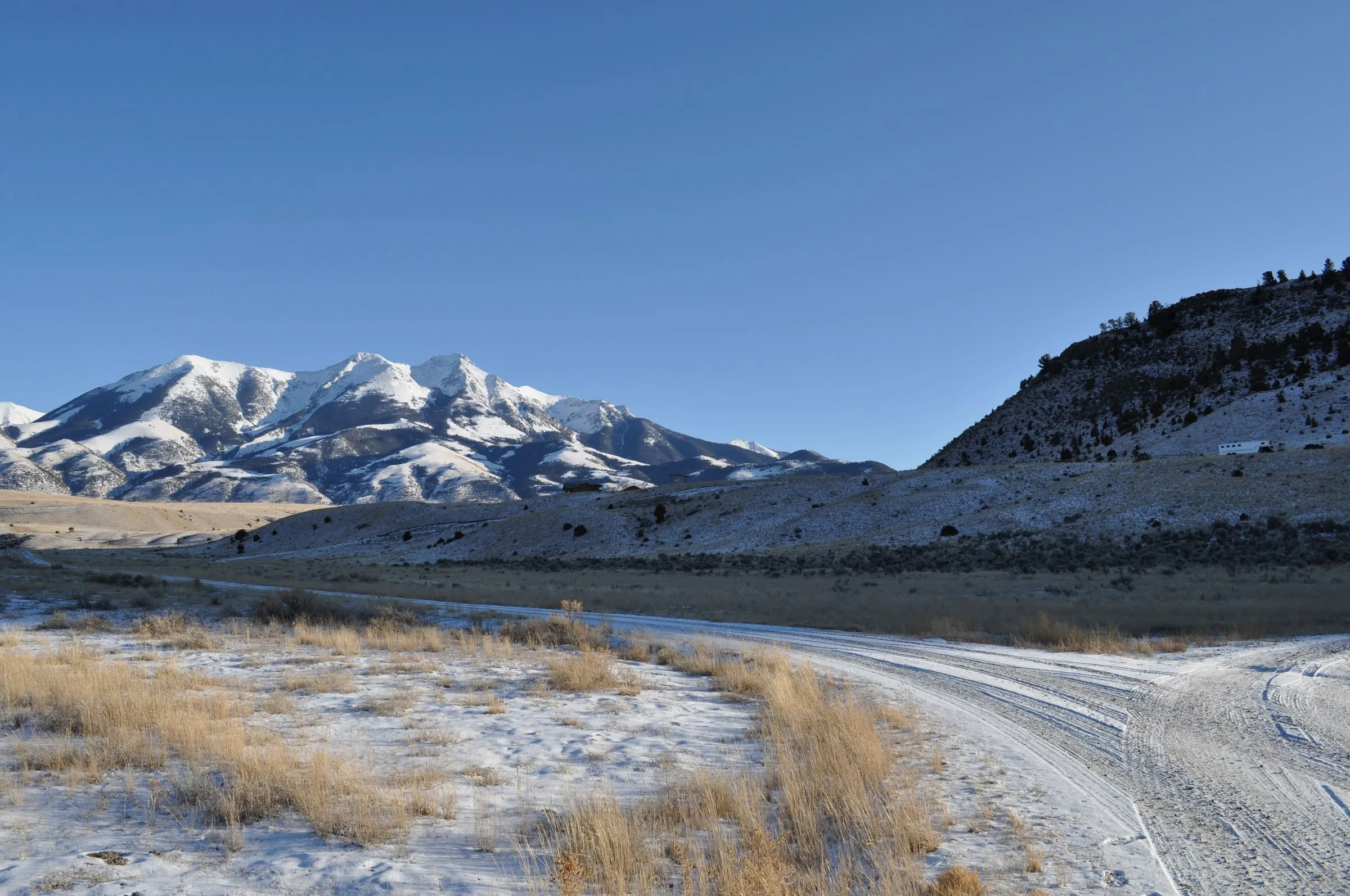 A snowy dirt road curves through dry grass toward snow-covered Emigrant Peak under a clear blue sky.