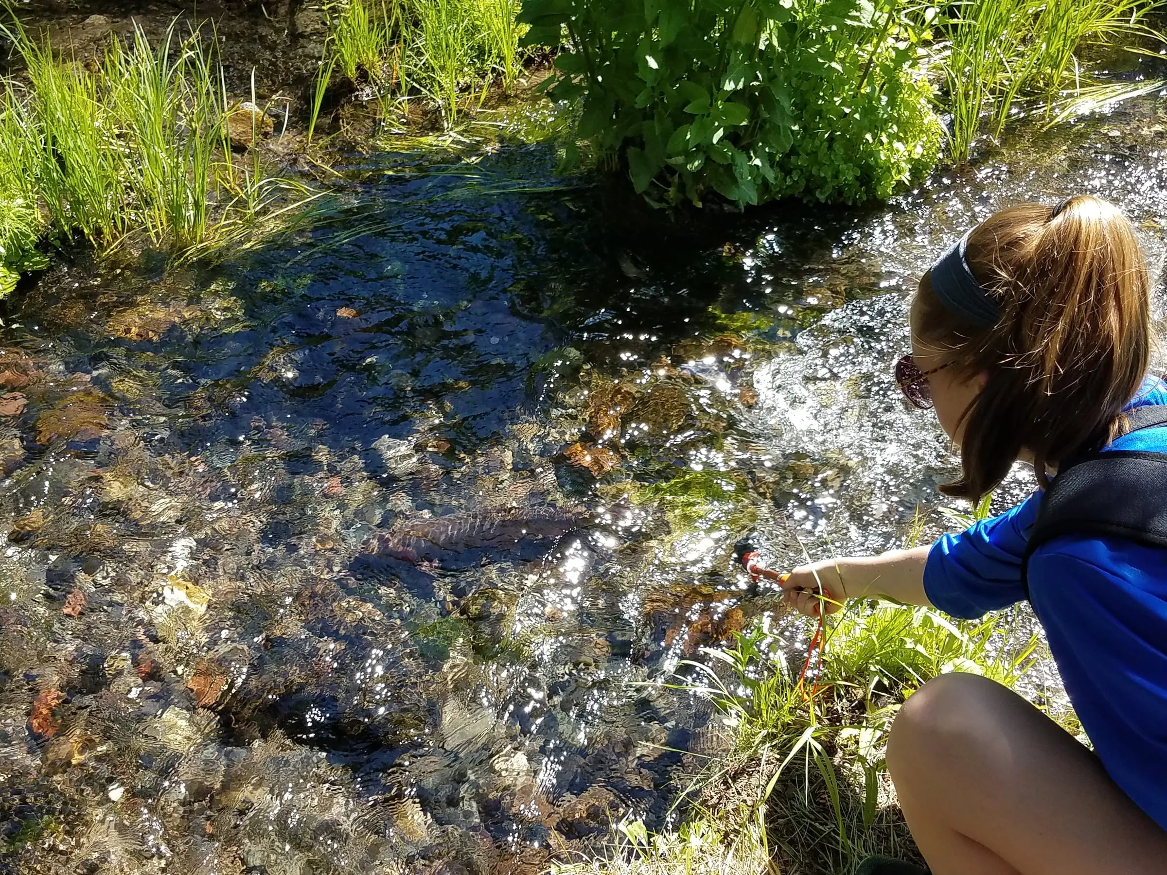 A girl crouches at the edge of a clear stream, releasing a fish back into the water.