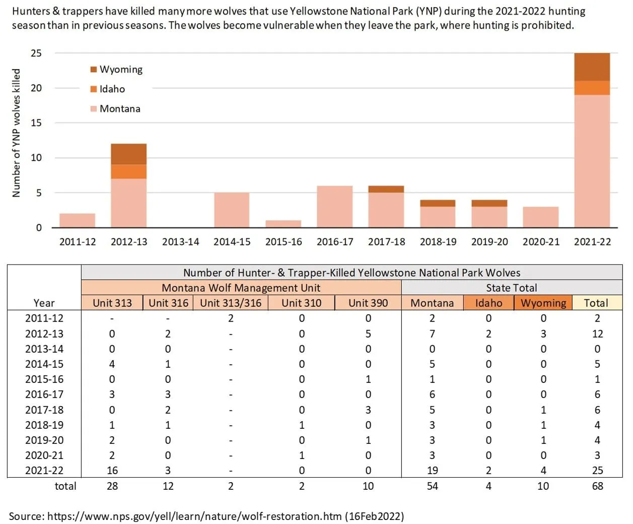 Bar chart and table from the National Park Service of hunter- and trapper-killed Yellowstone wolves by season, 2011-12 to 2021-22, by state and Montana unit; the 2021-22 bar is by far the tallest.